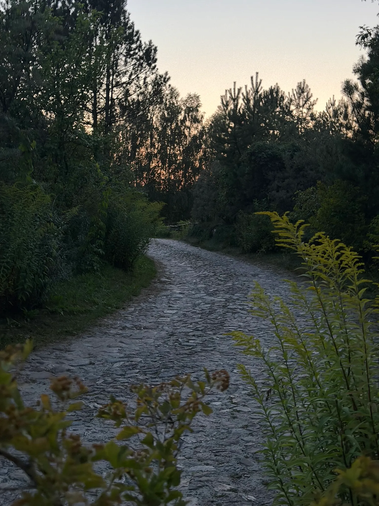 PHOTO2026004