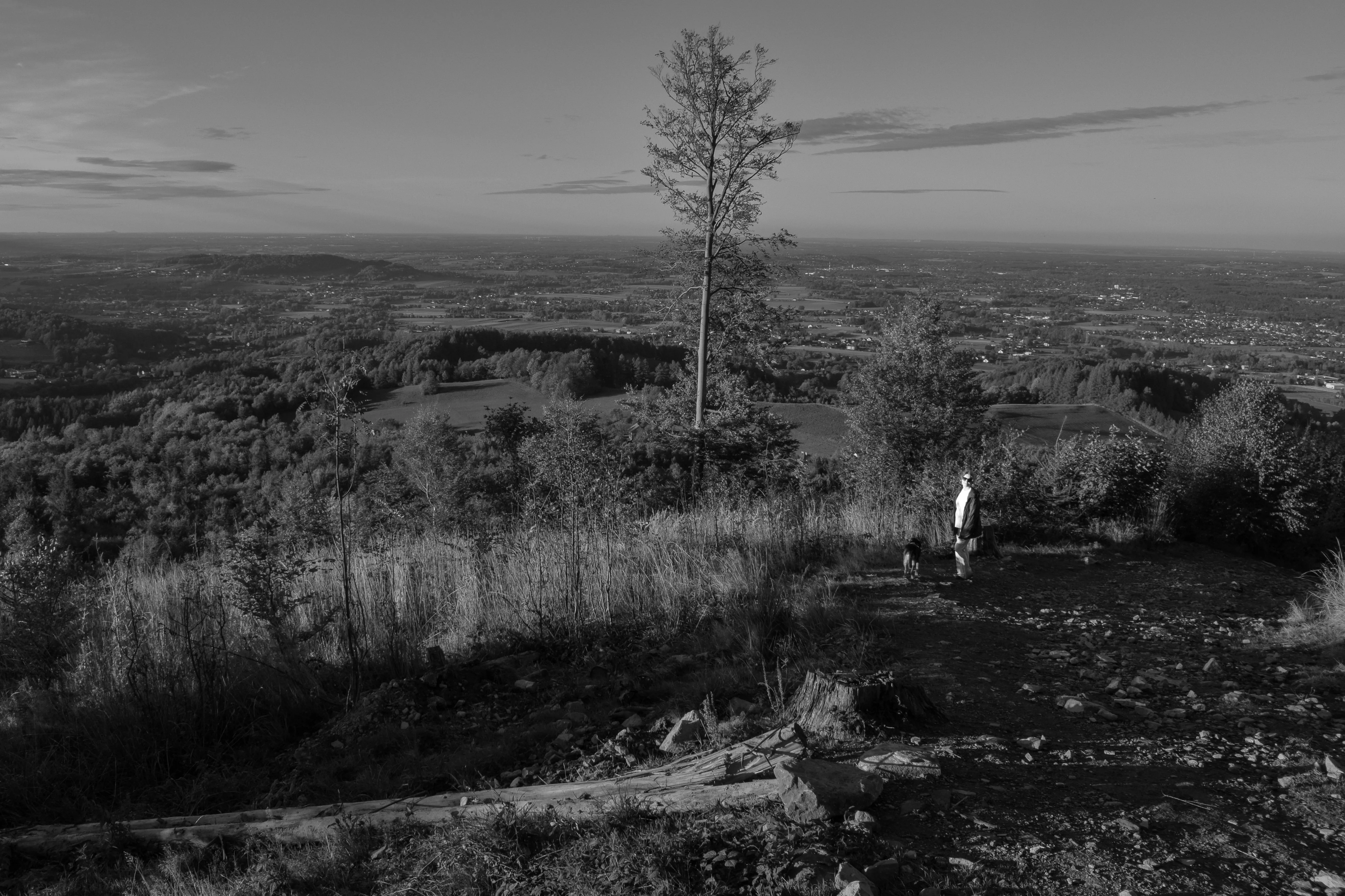 PHOTO2024001